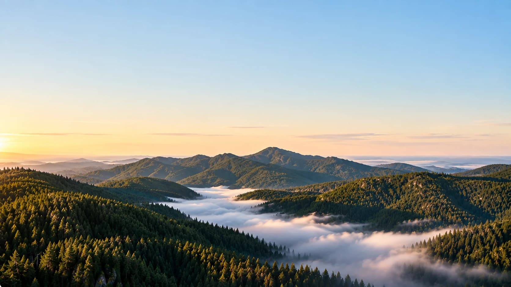 Forested ridges at sunrise, fog lying in the valleys under an open sky